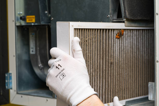 Best Home Air Vent Cleaning  in Carter Lake, IA