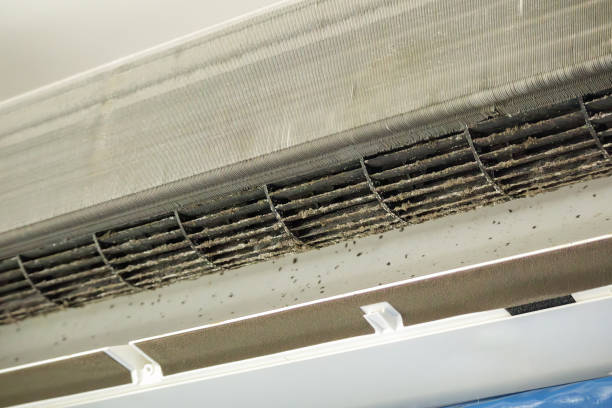 Best Duct Cleaning for Offices  in Carter Lake, IA