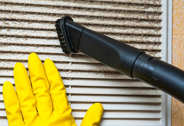 Air Duct Mold Removal in Carter Lake, IA